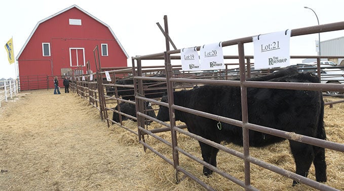 2025-ag-roundup2